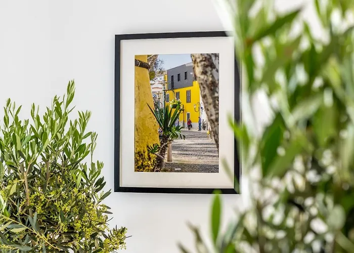 Bay * Machico (Madeira)